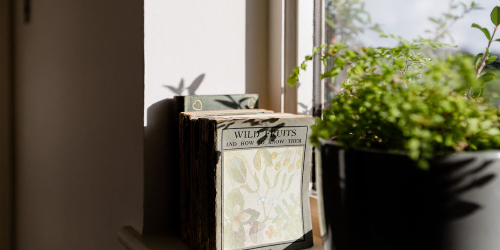 Wildfern Painting and Decorating