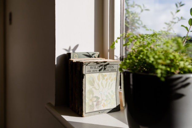 Wildfern Painting and Decorating