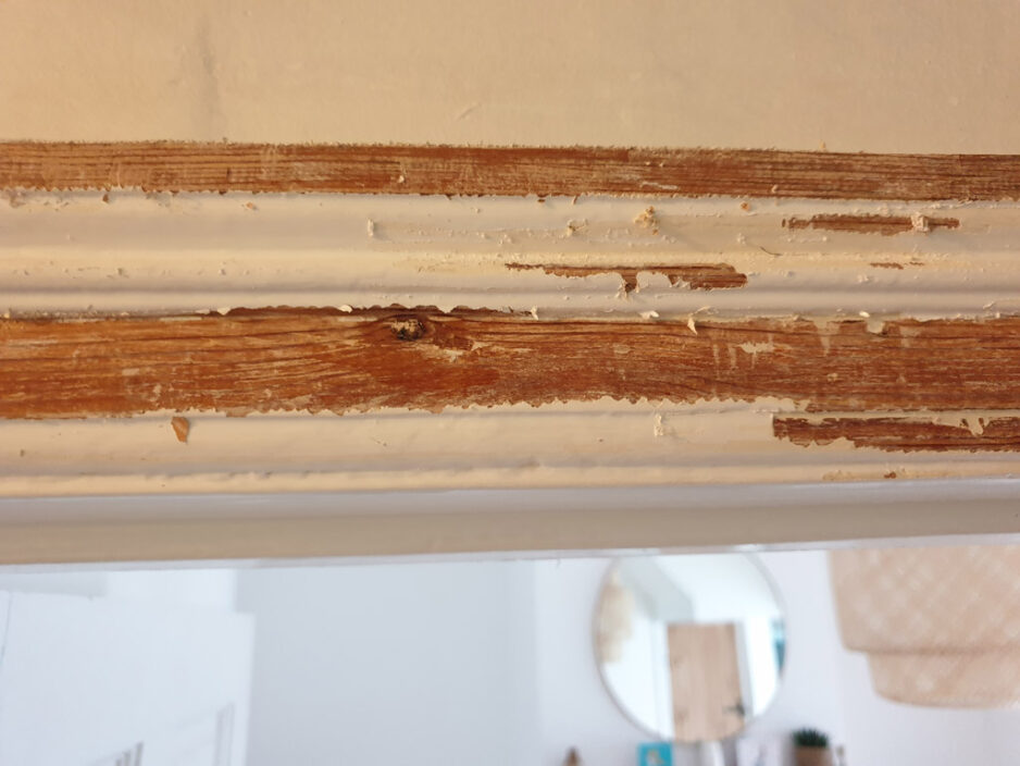 Specialist Cosmetic Repair